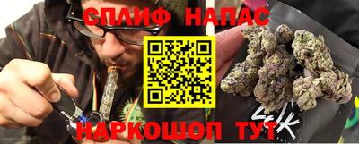 мдпв Можга