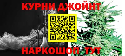 гидра Моздок