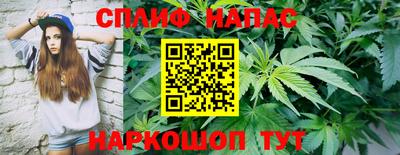 мдпв Можга
